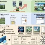 Mol Plant | 大豆2035：崖州湾国家实验室田志喜研究员应邀联合国内外学者展望未来大豆研究发展方向