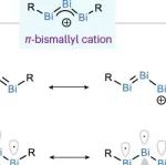 “铋”有不同——基于铋宾的烯丙基阳离子类似物 | Nature Chemistry