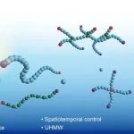 吉林大学安泽胜研究组-光控自由基聚合 | Nature Synthesis