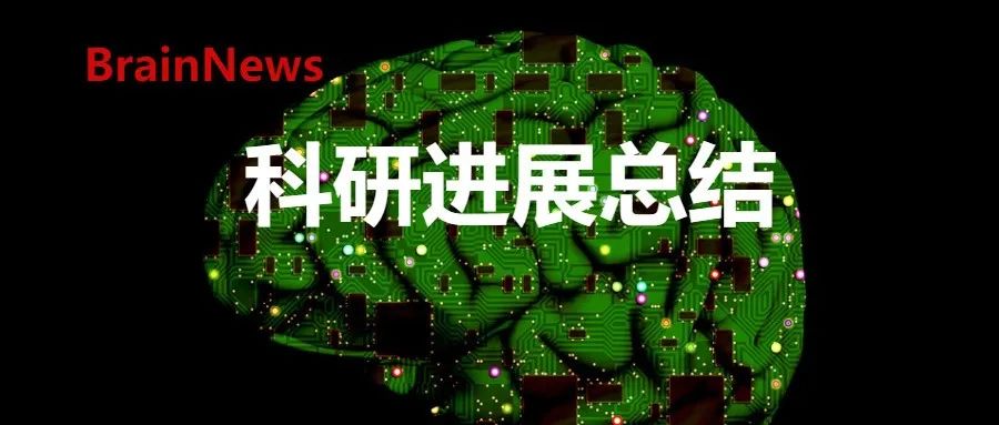 2024年近60篇Nature Neurosci杂志成果汇编