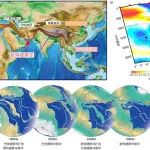 丁林 | 特提斯地球动力系统研究新进展