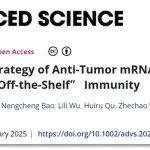 Adv Sci | 浙江大学生命科学学院金勇丰团队开发一种通用型mRNA抗肿瘤疫苗策略