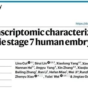 Nat Cell Biol | 中科院动物所郭靖涛/于乐谦团队合作利用3D重构解析人类原肠运动早期发育过程