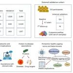 Nature子刊 | 西湖大学郑钜圣等揭示了健康衰老和相关心脏代谢疾病的生物标志物！