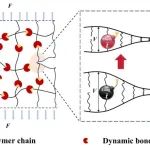 西安交大贾坤课题组 Macromolecules：温度对环氧Vitrimer断裂韧性的影响