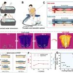 香港理工大学陶肖明教授团队 Adv. Sci.：一种高效传热、轻便、卫生用于运功恢复的可穿戴流体织物