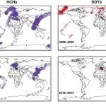 哈尔滨工业大学任南琪院士团队Science Advances：全球海洋中近50年来遗留性持久性有机污染物的长期存在性及其生态影响