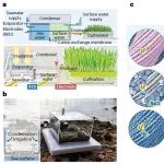 上海交大张垚鑫&新国立Tan Swee Ching最新Nature Water：面向水与能源可持续的太阳能界面水蒸发的功能化设计