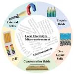 AFM综述：定制局域电解质微环境增强电催化
