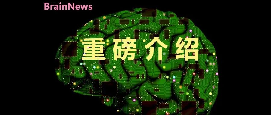 2024年度精神医学领域十大进展