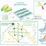 浙江大学张庆华团队连发 AFM/Small：透明防污涂层系列进展