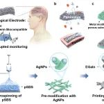 之江实验室马志军、清华危岩《Adv. Mater.》：具有长期生物相容性的可植入生物电极 - 液态金属柔性纤维织物