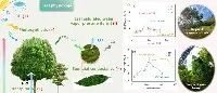 科研进展 | 地化所解析了气候与植被生理变化驱动叶片吸收大气汞的过程机理