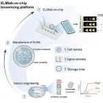 AFM：芯片上的工程化活体传感材料用于现场可部署的多重检测