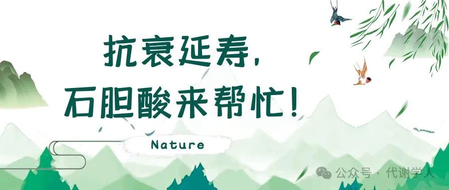 Nature：抗衰延寿，石胆酸来帮忙！