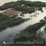 浙江海洋大学张秀梅团队基于集成生境适宜性模型预测了盐地碱蓬适宜性生境的分布特征及其对极端气候事件的恢复能力