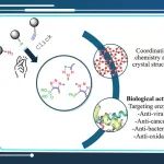 Eur. J. Med. Chem.：有机磷三唑合成中的点击化学及其生物活性综述