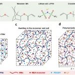 巴黎高等物理化工学院Costantino Creton教授团队 Nat. Commun.：兼具弹性、强韧与导电性的离子导电弹性体