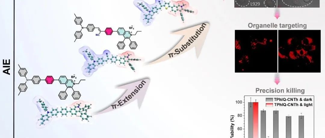 华南理工王志明研究员&港中文陈孔麒博士：结合药物化学和π桥效应构建近红外AIEgens实现癌细胞特异染色和精准杀伤