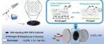 江苏大学《ACS ANM》：氮/磷/氟杂原子共掺杂碳纳米管，用于可充电Li-CO2电池的独立阴极