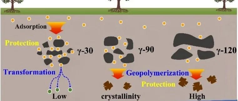 【他山之石】西北农林科技大学贾汉忠团队：二氧化锰同时诱导溶解性有机质的转化与保护——结晶度的重要性