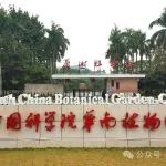 中科院华南植物园博士第一作者在国际期刊（IF=10）发表研究成果，取得​防控冷害方面的新进展
