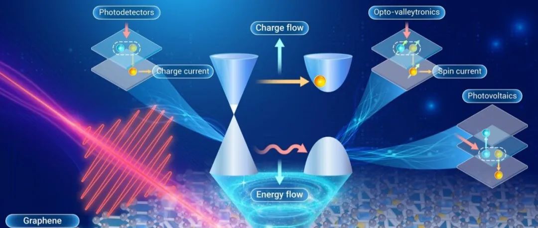 The Innovation | 光电器件应用的微观视角：追踪和调控石墨烯-半导体异质结中电荷和能量的超快转移