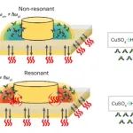 研究前沿：等离子体纳米腔-振动耦合调控化学反应 | Nature Chemistry