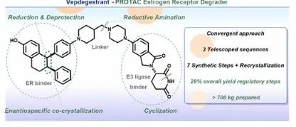 Commercial Manufacturing Process for Vepdegestrant (2)