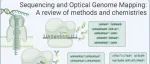 Chem. Biomed. Imaging| 鲁汶大学Johan Hofkens院士团队综述：详解DNA测序和光学基因组图谱技术