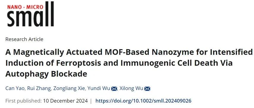 Small &#448; 磁驱动MOF基纳米酶通过自噬阻断强化诱导肿瘤细胞铁死亡和免疫原性细胞死亡