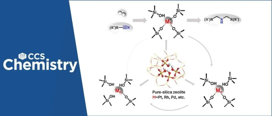 【CCS Chem.】南开大学李兰冬：分子筛稳定贵金属聚集体的可控构筑与催化应用