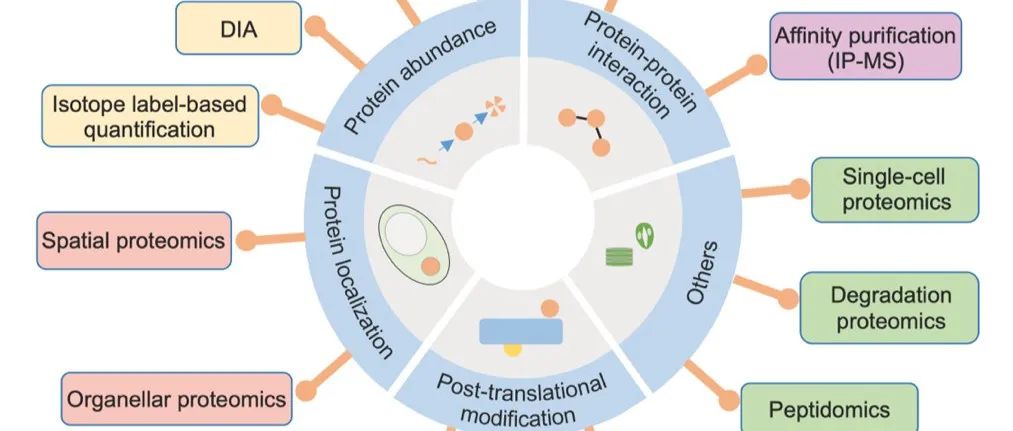 JIPB 特约综述 | 南方科技大学王鹏程课题组综述植物蛋白质组学领域研究进展