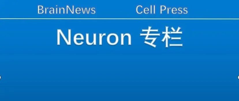 【收藏】2024年 75篇Neuron杂志成果汇编