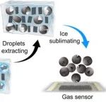 上海大学&华南师范大学JACS：冰融化合成空心碳球实现优异气体传感性能