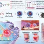 Adv. Mater：NIR-II双光子激发的AIE光敏剂用于精准有效治疗原位小尺寸胶质母细胞瘤