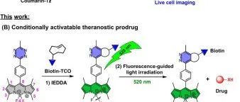 Angew.|通过预靶向生物正交触发和荧光引导的可见光照射对治疗诊断前药进行条件性中继激活