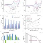 支春义教授团队，新发Nature子刊！