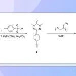 Nat. Commun.：用于先进有机自旋电子学的Verdazyl自由基聚合物