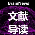 NRR：复旦大学尤琳雅团队发现损害空间和恐惧记忆新机制