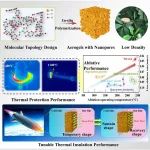 哈工大冷劲松院士团队 CEJ：用于智能热防护系统的具有可调隔热性能的自感知形状记忆硼酚醛气凝胶