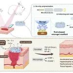 浙江大学高长有教授团队 AFM: 新型棒状微凝胶支架促进皮肤愈合并减少瘢痕形成