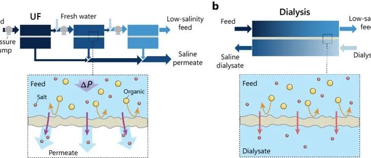 广东工业大学杨志峰院士团队王樟新课题组Nature Water：透析为高盐有机废水处理开辟新途径