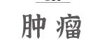 Journal of Hepatology丨靶向TGM2介导的组蛋白血清素化修饰有望成为肝癌治疗新策略