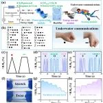 大连工业大学王海松教授团队 AFM：纤维素基水凝胶传感器新进展