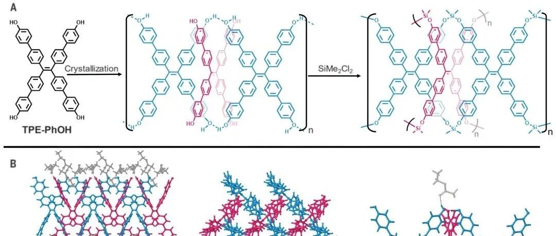 Science: 机械互锁的二维聚合物 - 美国西北大学William R. Dichtel教授团队