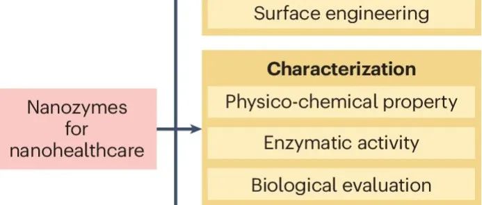 Nat. Rev. Methods Primes | 纳米医疗保健用纳米酶综述