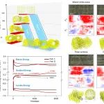 浙江大学《Nature Physics》：铁电拓扑的热致纳米尺度可控相变