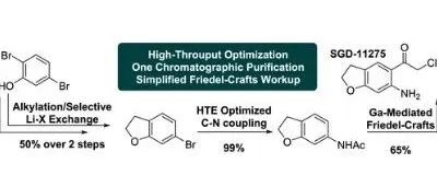 Process Development to Synthesize SGD-11275