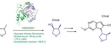 3,4-Disubstituted Tetrahydrofuran at a Multikilogram Scale